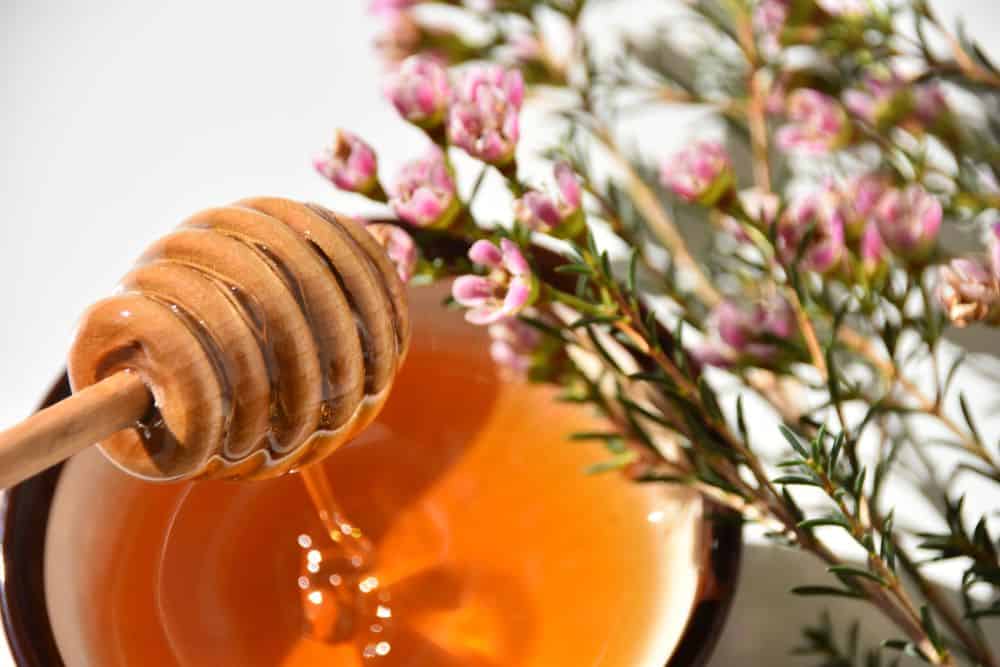Manuka Honey For Eczema